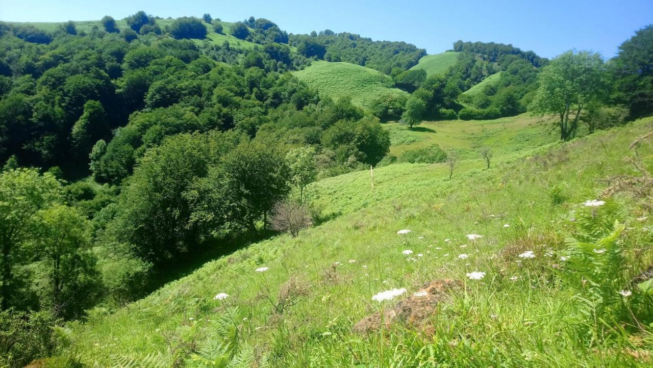 Tardets-Sorholus Tente Safari Lodge Ferme Carrique מראה חיצוני תמונה